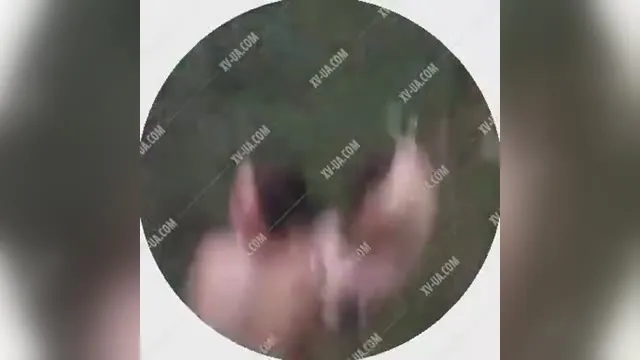 Наказали толстых закладчиц в лесу