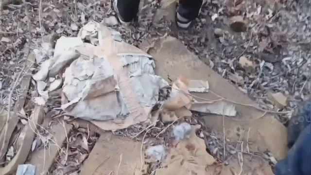 Русскую закладчицу отхуярили и выебали спортики