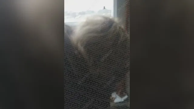 Russischer Pfandleiher wurde belästigt und in den Arsch gefickt